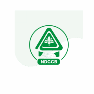 Untitled design (53)